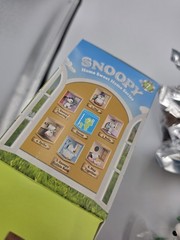 Peanuts Snoopy Home Sweet Home Beagle Scout Snoopy and Woodstock Secret Chase