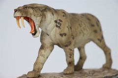 MEMORY MUSEUM 1/15 Prehistoric Cat Smilodon Populator GK Animal Model Toys Gift