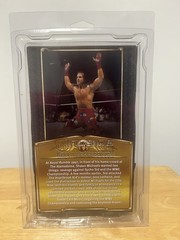 SHAWN MICHAELS DEFINING MOMENTS RINGSIDE EXCLUSIVE FACTORY SEALED IN DEFENDER