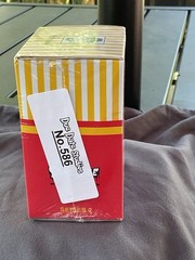 Popaganda Mc Supersized Mini Blind Box Original Ron English
