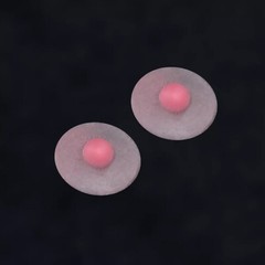 1:6 Female Big Huge Breast Chest Patches Accessories For 12”PH TBL Figure Body