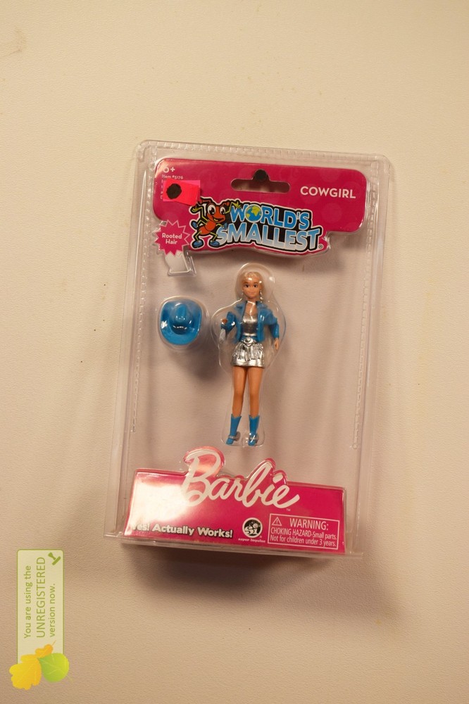 World’s Smallest Posable Barbie Cowgirl