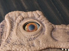 Jurassic Park World Real FX Baby T-Rex Tyrannosaurus Dinosaur Puppet SEE VIDEO