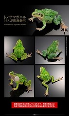 Black-spotted Pond Frog Figure Set of 4 Bandai Creature Encyclopedia Capsule Toy