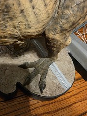 Chronicle Collectibles Jurassic Park Breakout T-Rex Statue