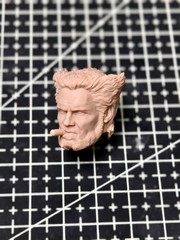 1/18 1/12 1/6 Unpainted Henry The Cavillerine Head Carving Sculpt White Mold