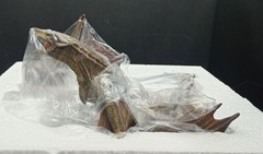 NEMESIS NOW GAME OF THRONES VISERION DRAGON STATUE 28cm MIB
