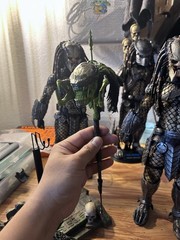 1/6 Scale Custom Trophy Predalien Head