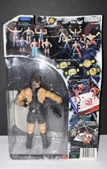 WWE Jakks Ruthless Aggression Series 6 Rob Van Dam Action Figure