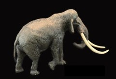 Elephant Wild Animal Toy PVC Action Figure Kids Toys Party Gifts