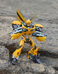 Iron Warrior IW-08 Rhubarb BumbleBii,in stock