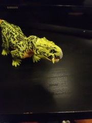 Member’s Mark Poseable Dinosaur Action Figure 2022 – BXA