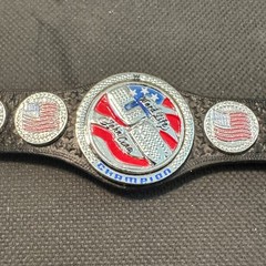 WWE Mattel Elite John Cena US United States Championship Spinner Belt Accessory