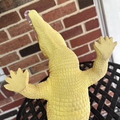 Toys R Us Maidenhead Large Realistic Lifelike Soft Rubber Alligator 2017 23”