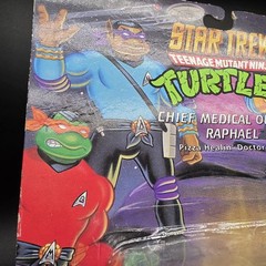 1994 TMNT Chief Medical Officer Raphael Vintage Turtles MOC Sealed Star Trek