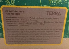Lot of 4 LARGE Electronic Dinosaurs By Battat LIGHT & SOUND Terra 3+Years NEW