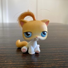 LITTLEST PET SHOP LPS #42 Yellow CAT with real hair yellow with blue eyes magnet