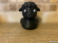 Black Sheep Duck