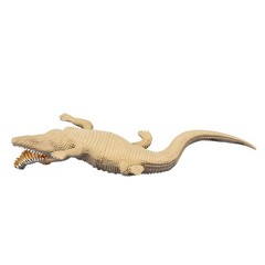 Kids Toy Lifelike Model Anti-Stress For Classroom Use Easy To Use