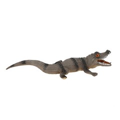 Kids Toy Lifelike Model Anti-Stress For Classroom Use Easy To Use