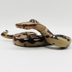 Durable Python Animal Figurine – Ideal Gift for Young Explorers & Halloween