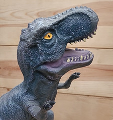 T-Rex Large Rubber Dinosaur Fun Non-Mechanical Toy 2011 Detailed/Realistic Vtg