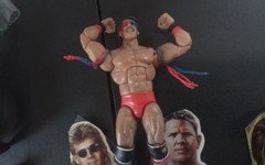 WWE Mattel Legends Series #17 Shamrock w/Chase HBK AJ Styles Ultimate Warrior