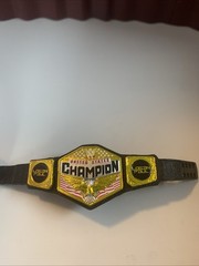 United States Championship Belt US Mattel Elite WWE Logan Paul Side Plates