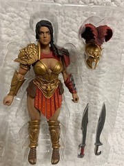 Berenice Xesray Studio Combatants Fight for Glory Standard Version INHAND