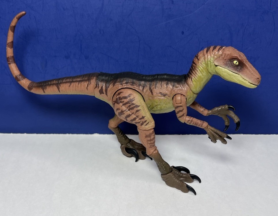 Jurassic World Amber Collection Velociraptor Echo Action Figure Mattel – VGC