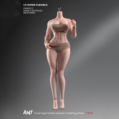 ANT T307 1/6th Female Fitness Model Action Figure Body 12in Muscle Bust Soldier