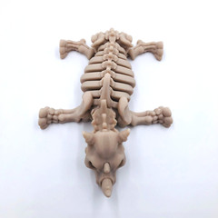 3D Printed Skeleton Rhino Bone Animal Display Toy Articulated Skeletal Body
