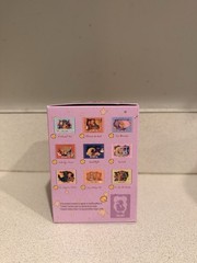 Popmart Twinkle Twinkle Light Up Series Scene Sets [Sealed]