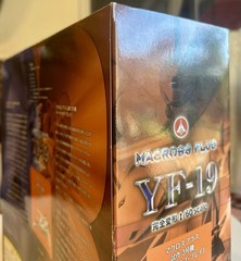 Yamato Macross Plus YF-19 Prototype Unit No.3 Bird of Prey 1/60 Scale Figure