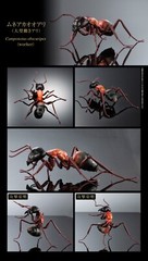 The Diversity of Life on Earth Ant Action Figure Bandai Capsule Toy