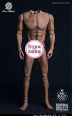 Worldbox AT011/12/16-20/42 1/6 Male Durable Joint Body For 12″Action Figure Doll