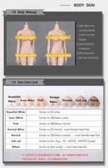 LDDOLL1/6 Silicone Flexible Seamless Figure Female Body Real makeup normal 29L