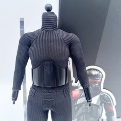 Hot Toys TMS081 Star Wars Purge Trooper 1/6 action Figure’s Body Only