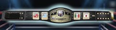 NWA Lot Of 5 Custom Hand Made Hasbro Scale Wrestling Belts Mid Atlantic Title