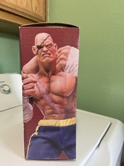 Sota Toys Street Fighter Rotocast Series SAGAT 10″ Action Figure Limited Edition