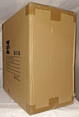 Zeta Toys Superitron ZB-06 Metallic Paint 20″(Transformers Aerial Bots Superion)