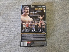 JAKKS Pacific WWE / WWF Classic Superstars HARLEY RACE