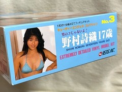 E12 Shiori Nomura 17 years old REDS 1/6 Cutie Angel Collection No.3 Comes with 3