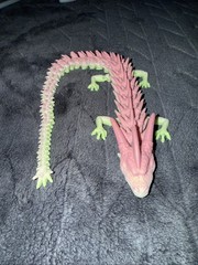 3D Printed Dragon