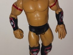 2004 TATANKA Jakks Pacific WWE Ruthless Aggression Series 23 Wrestler Figure