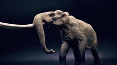 TNG Huanghe Flumen Stegodon Model Elephant Animal Figure Toys Decor Xmas Gift