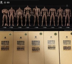 Worldbox AT011/12/16-20/42 1/6 Male Durable Joint Body For 12″Action Figure Doll