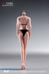 US ANT 1/12 T305B Pale Skin 6″ Seamless Female Action Figure Body Hand Foot Toys