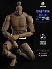 WorldBox AT042 1/6 Muscular Asian narrow shoulder Body 12″ Durable figure ❶USA❶