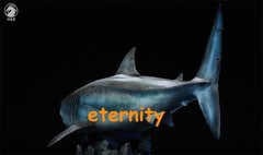 W-Dragon 1/35 Megalodon Prehistoric Shark Dinosaurs Model Statue Toy IN STOCK